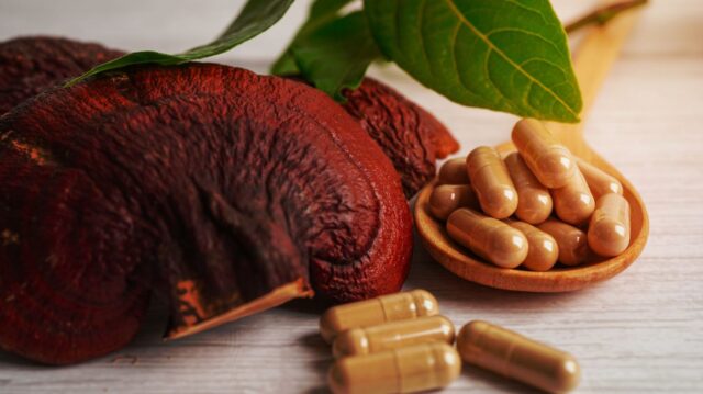 Top-Rated Mushroom Supplement Brands Optimal Wellness